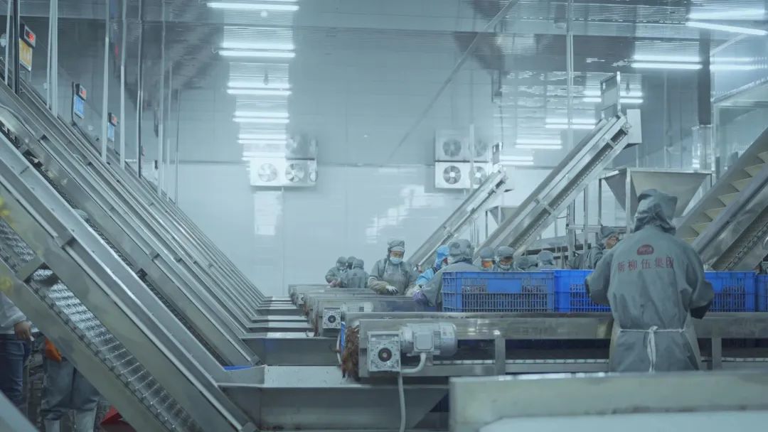 南宫NG28相信品牌的实力网址(中国)官网