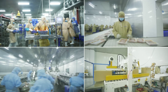 南宫NG28相信品牌的实力网址(中国)官网